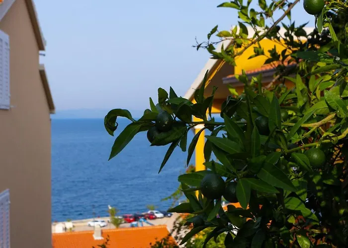 Apartmani Vranjes